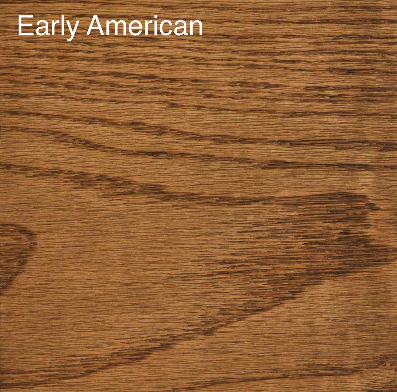 Small Elevated Dog Bone Double Feeder