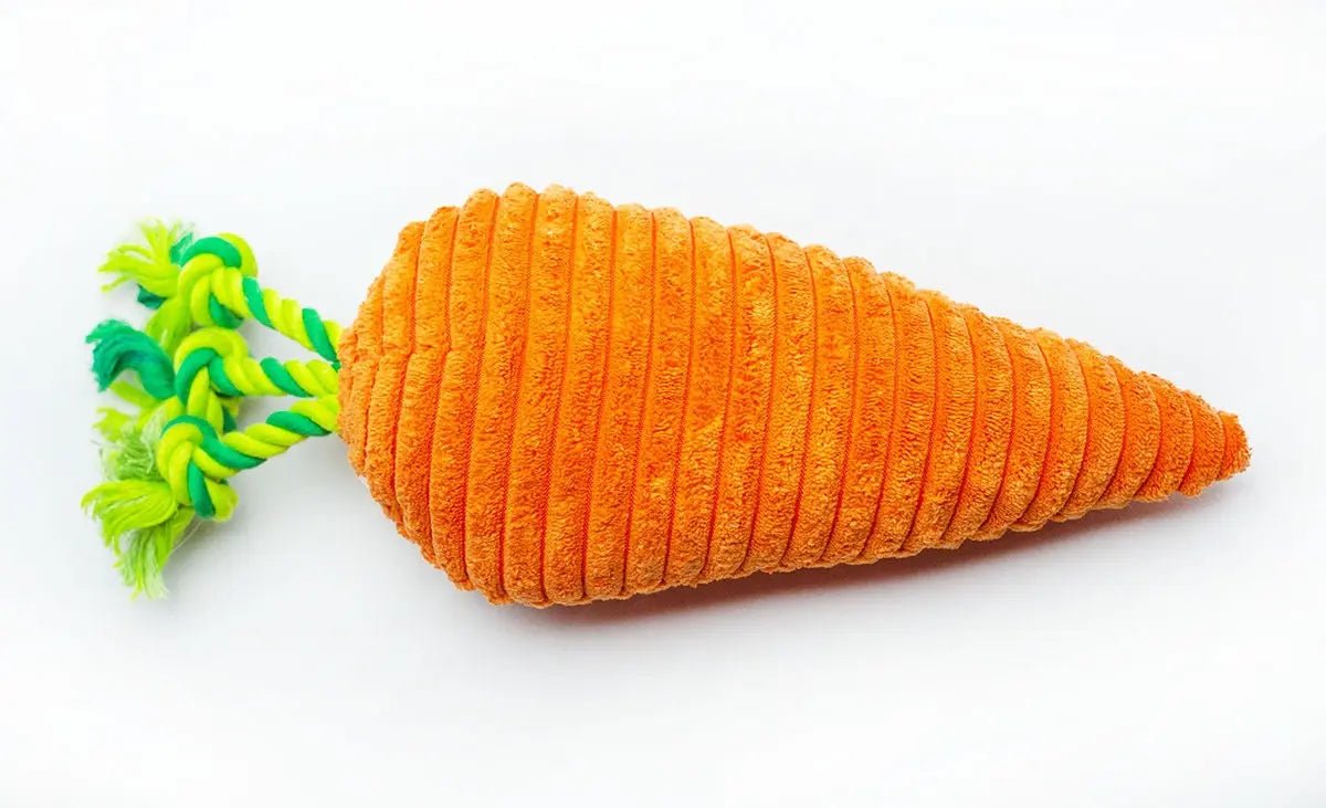 Carrot Plush Dog Toy 10" - Buzzy Pet Shop