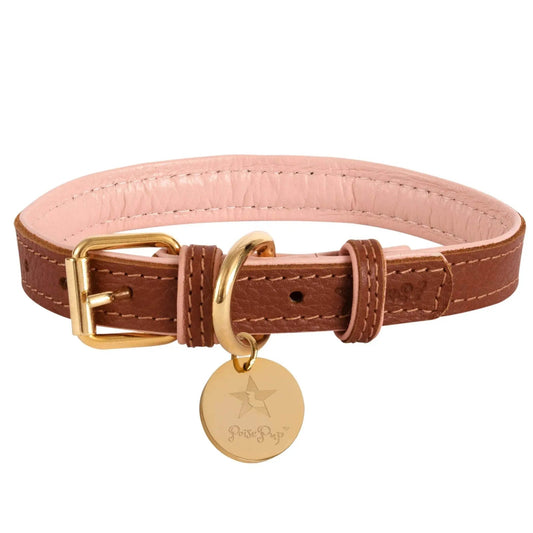 Dog Collar - Buzzy Pet Shop