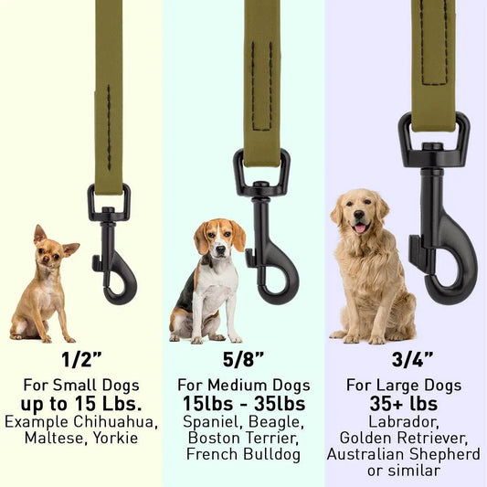 Dogline Biothane Waterproof Leash - Buzzy Pet Shop