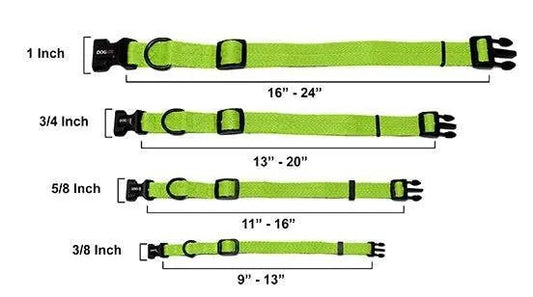Dogline Nylon Flat Collar - Buzzy Pet Shop
