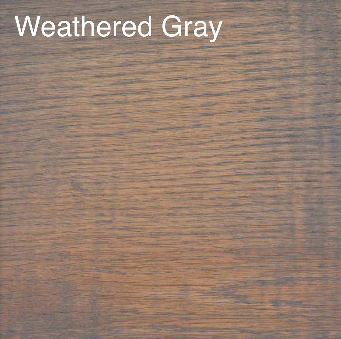 Double Bowl arched elevated dog feeder - Buzzy Pet Shop