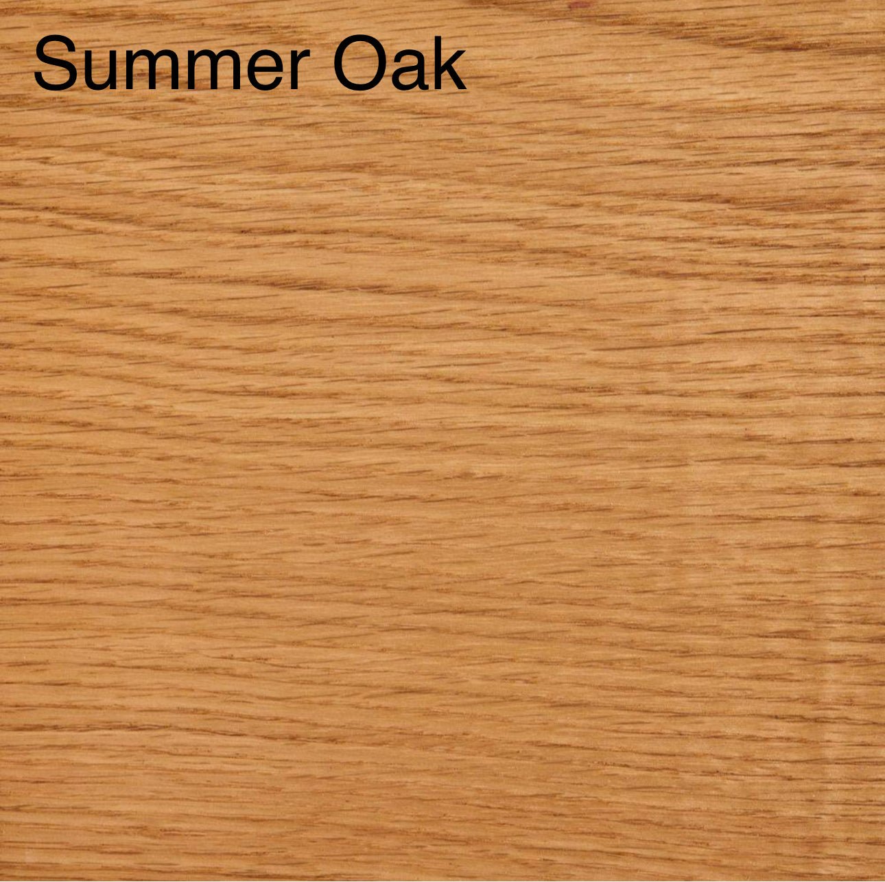 Double Bowl arched elevated dog feeder - Buzzy Pet Shop