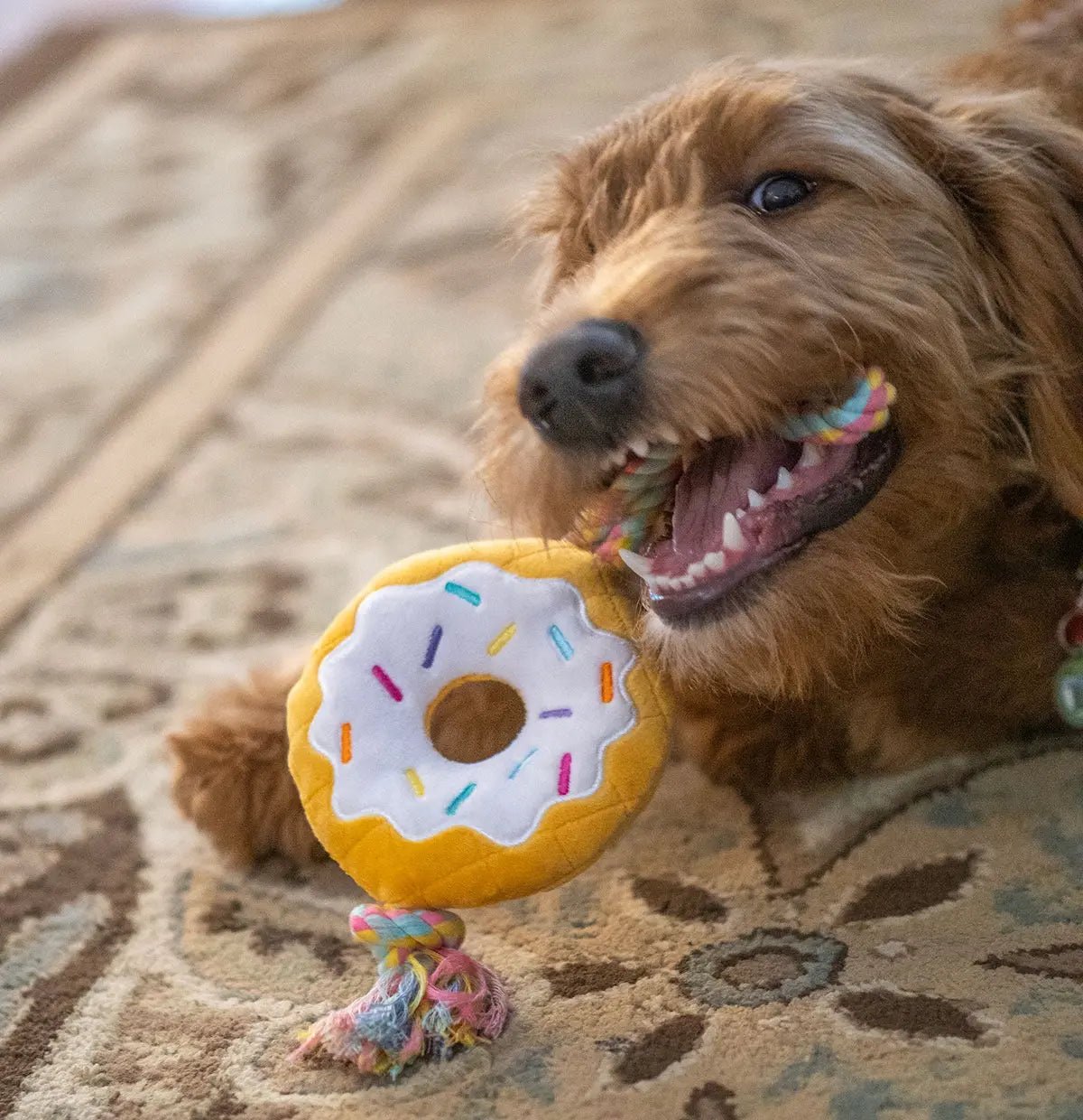 ThoozyPet Birthday Donut Plush Dog Toy with Rope 12" - Buzzy Pet Shop