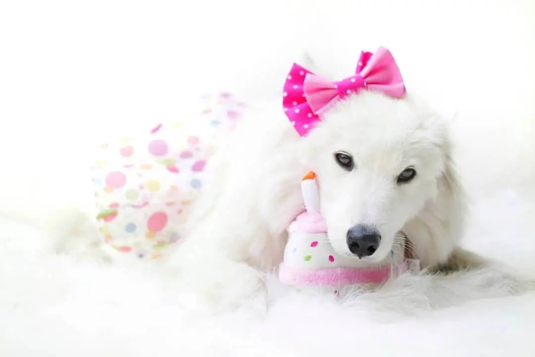 ZippyPaws Birthday Cake Pink - Buzzy Pet Shop
