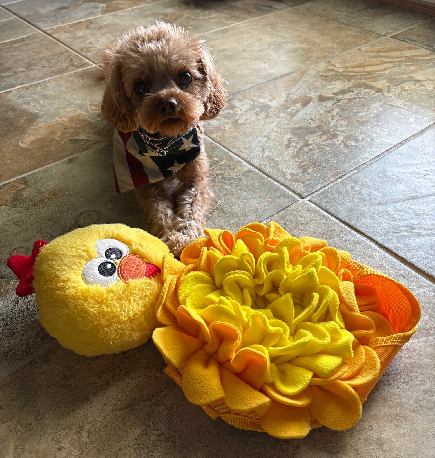 Feeding mats for  Pets