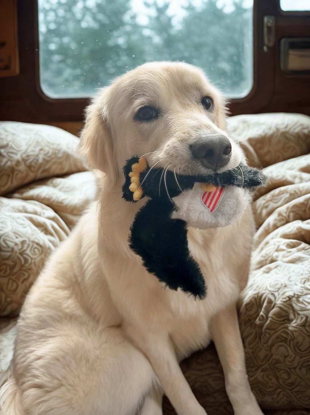 Dog Toys & Chews - Buzzy Pet Shop