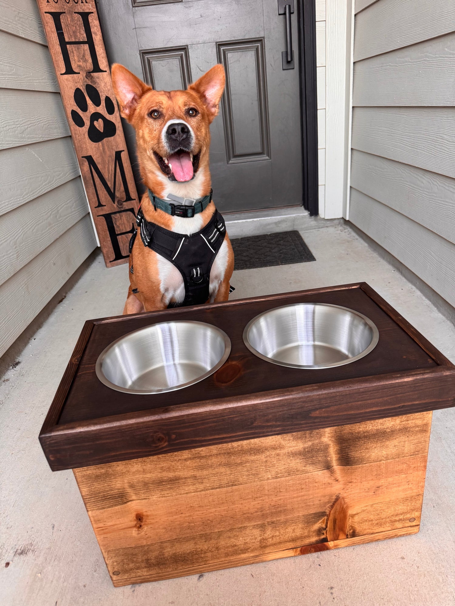 Handcrafted Elevated Dog Feeders - Buzzy Pet Shop