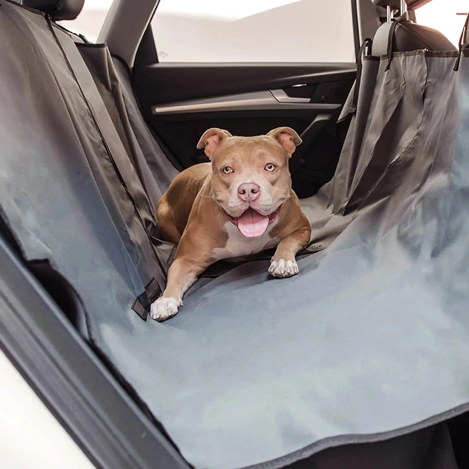 Pet Travel - Buzzy Pet Shop