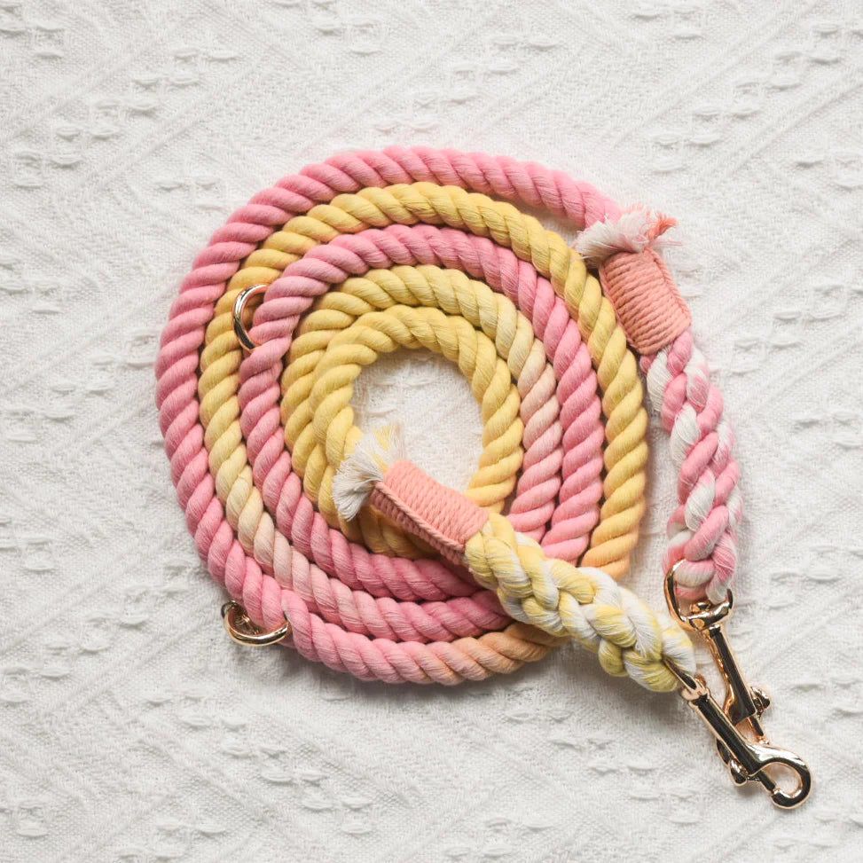 HANDS FREE DOG ROPE LEASH - OH MY MARSHMALLOW