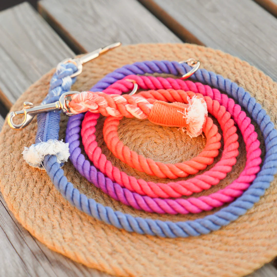 HANDS FREE DOG ROPE LEASH - PALETTE