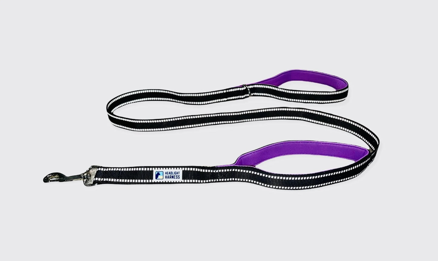 Headlight Harness Double Handle Reflective Leash