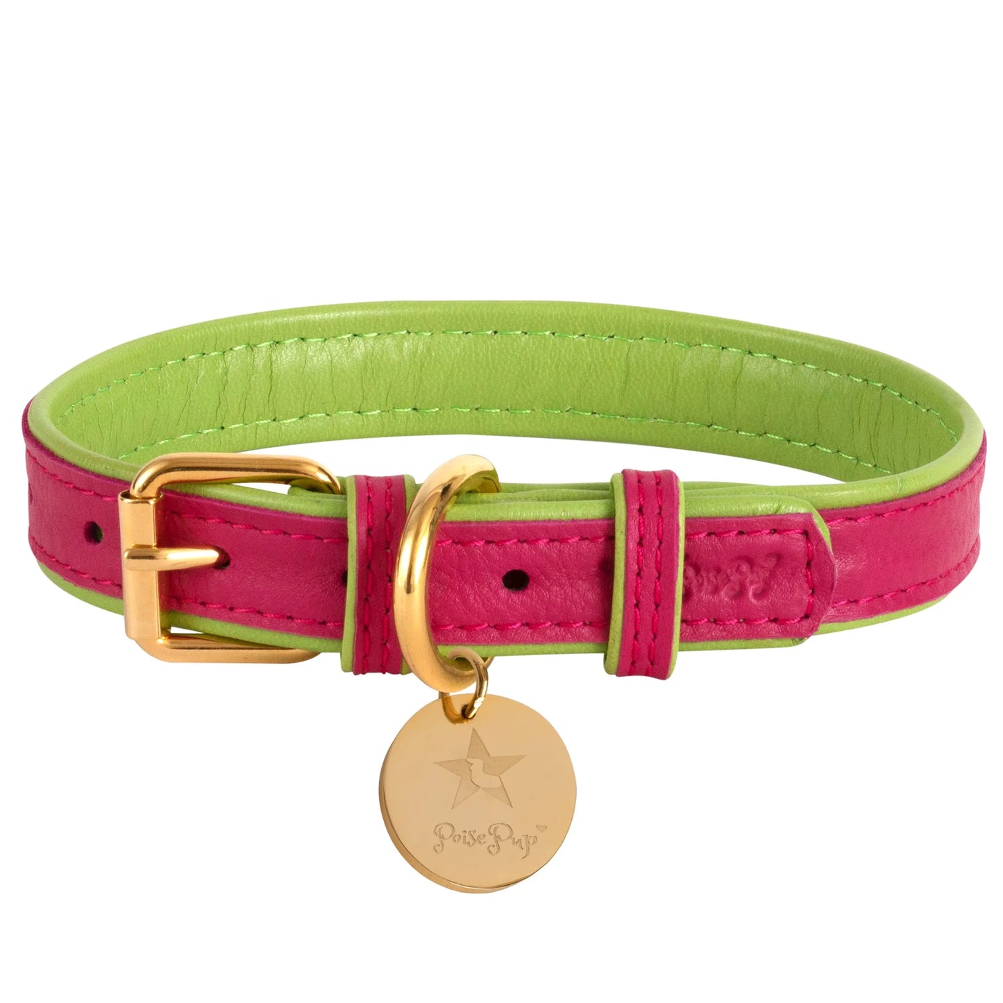 Dog Collar