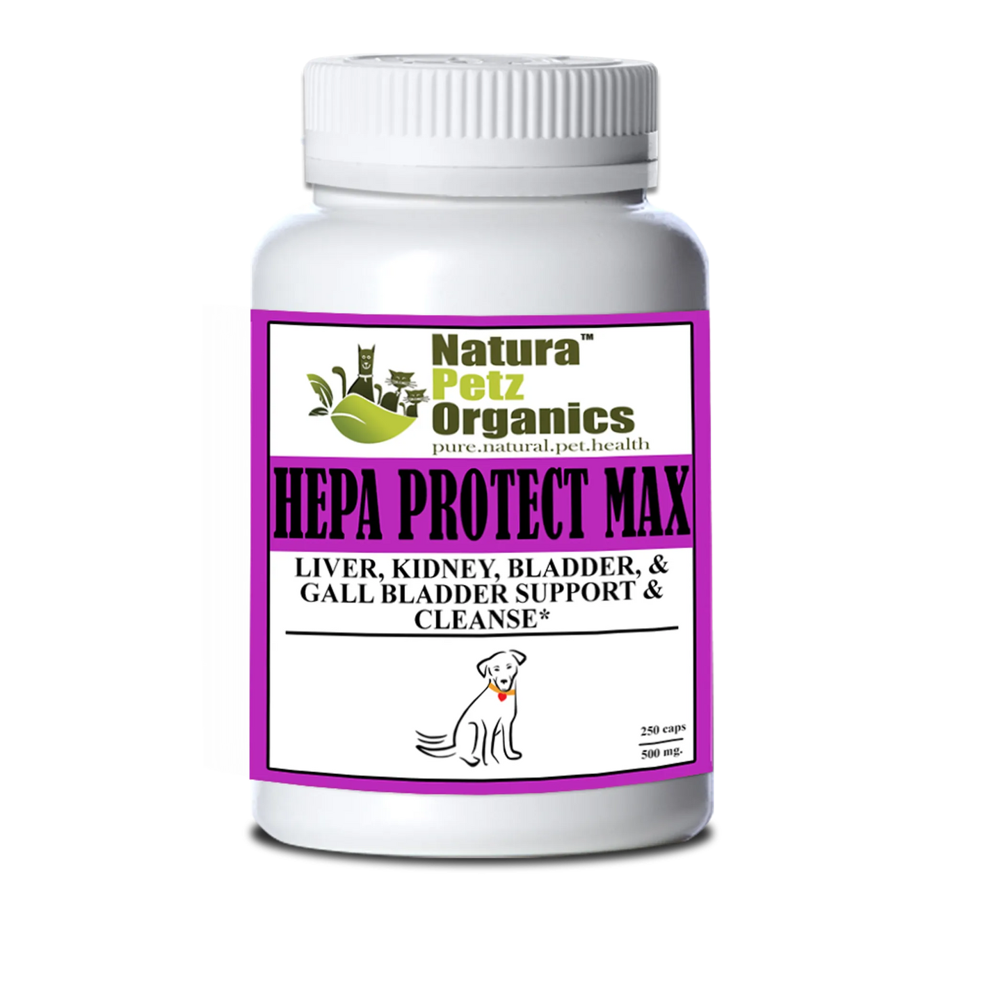 Hepa Protect Max Capsules - Liver, Kidney, Bladder & Gall Bladder Support & Cleanse*