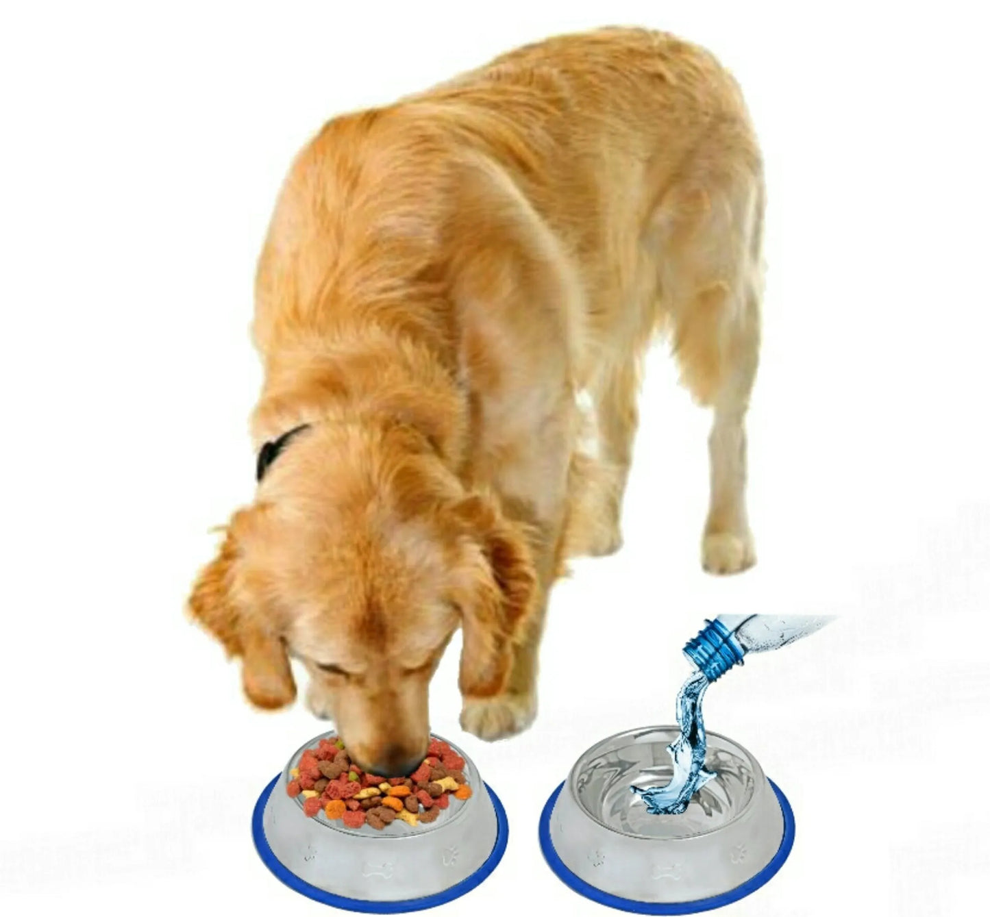 Etched Stainless Steel Dog Bowls with Blue Silicone Base