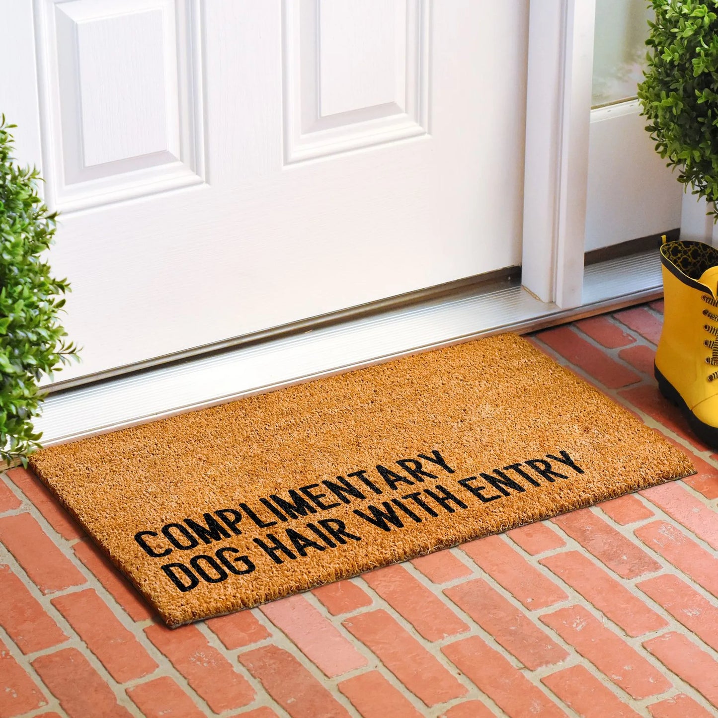 Calloway Mills Complimentary dog hair with entry Doormat