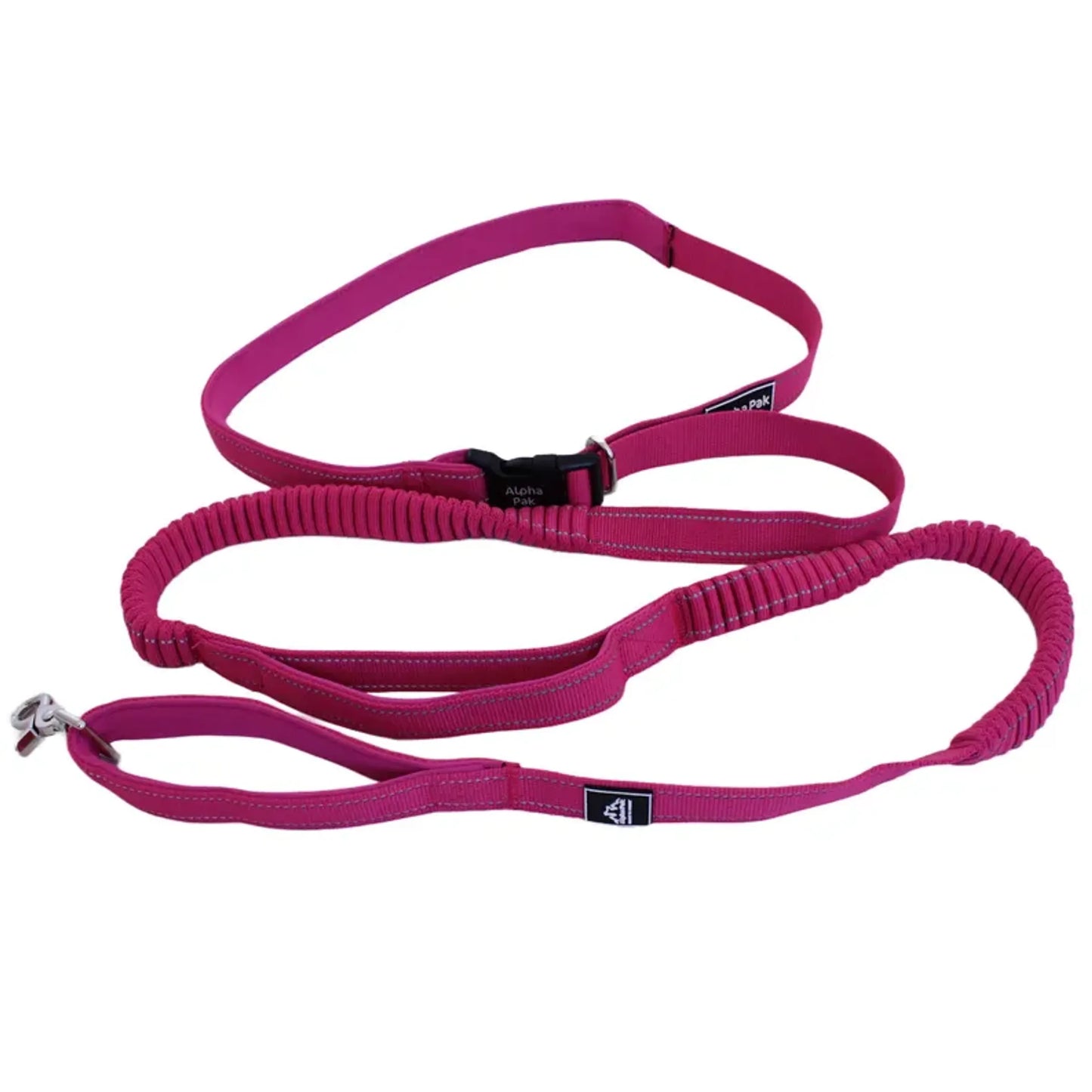 Cascades Plum Boysenberry Stretchable Runner Dog Leash