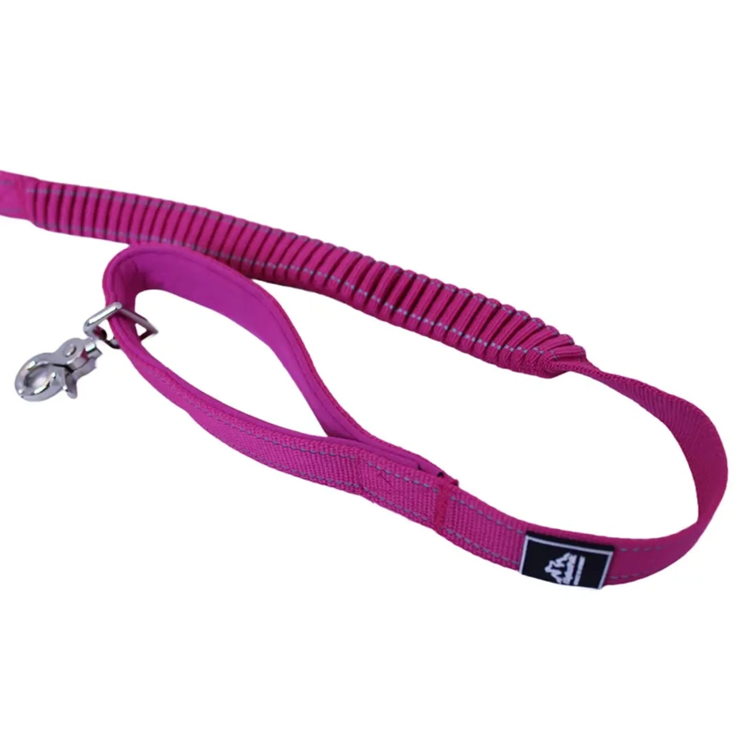 Cascades Plum Boysenberry Stretchable Runner Dog Leash