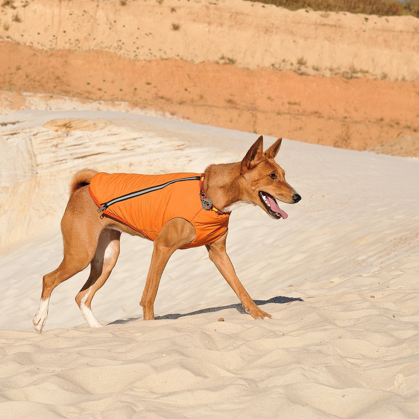 Sustainable Eco-Friendly Dog Jacket / Vest