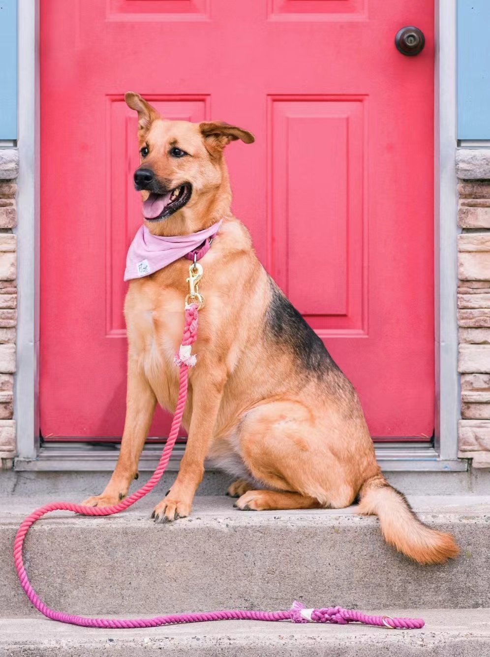 Dog Rope Leash - Scarlet