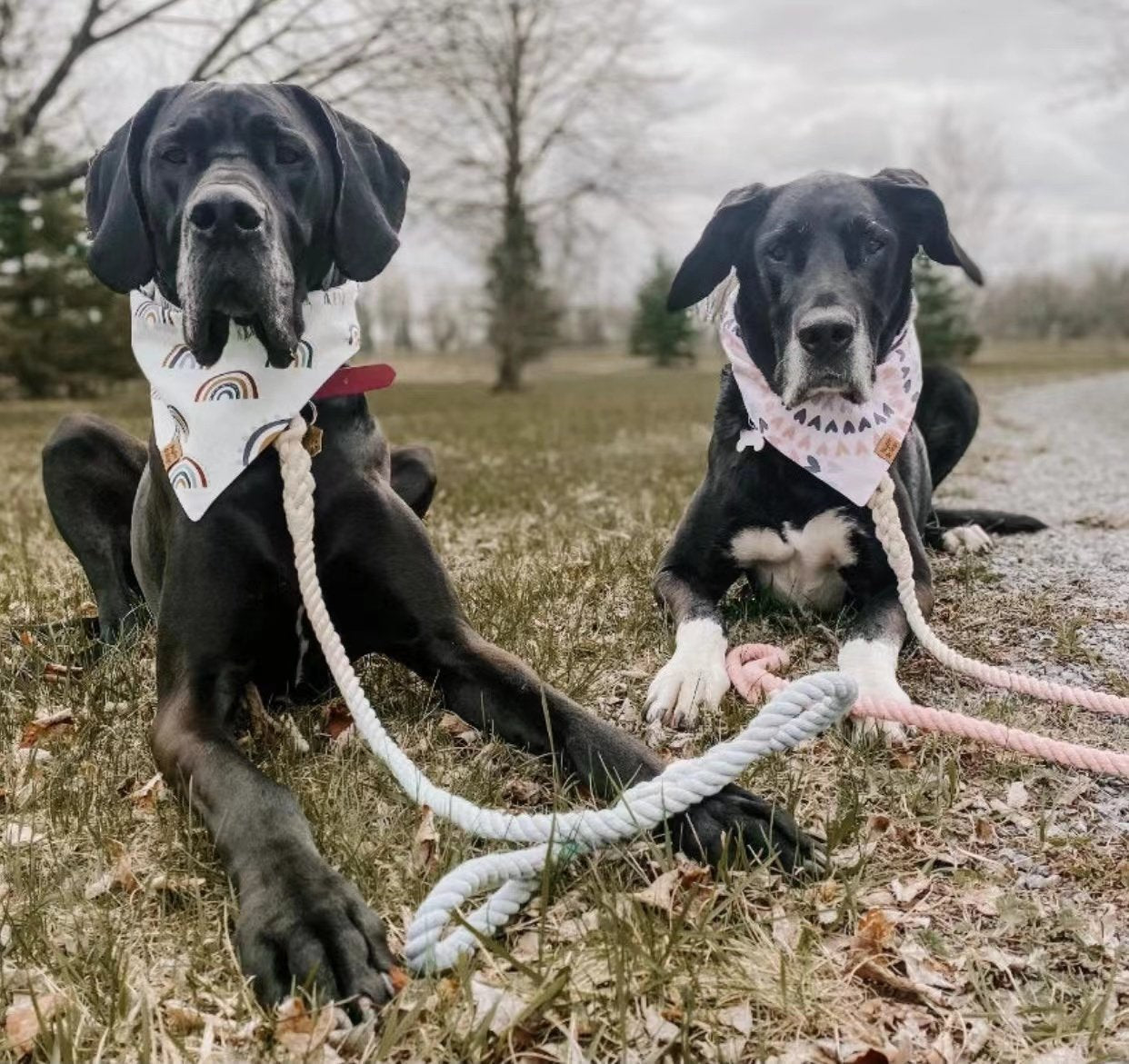 Dog Rope Leash - Cotton Coral