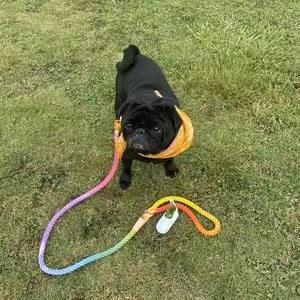 Dog Rope Leash - Ocean Blue