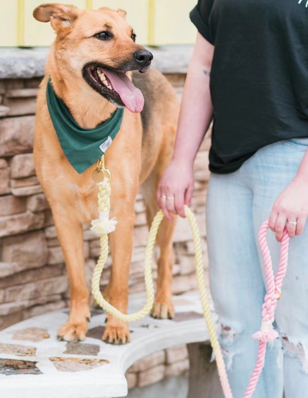 Dog Rope Leash - Ocean Blue