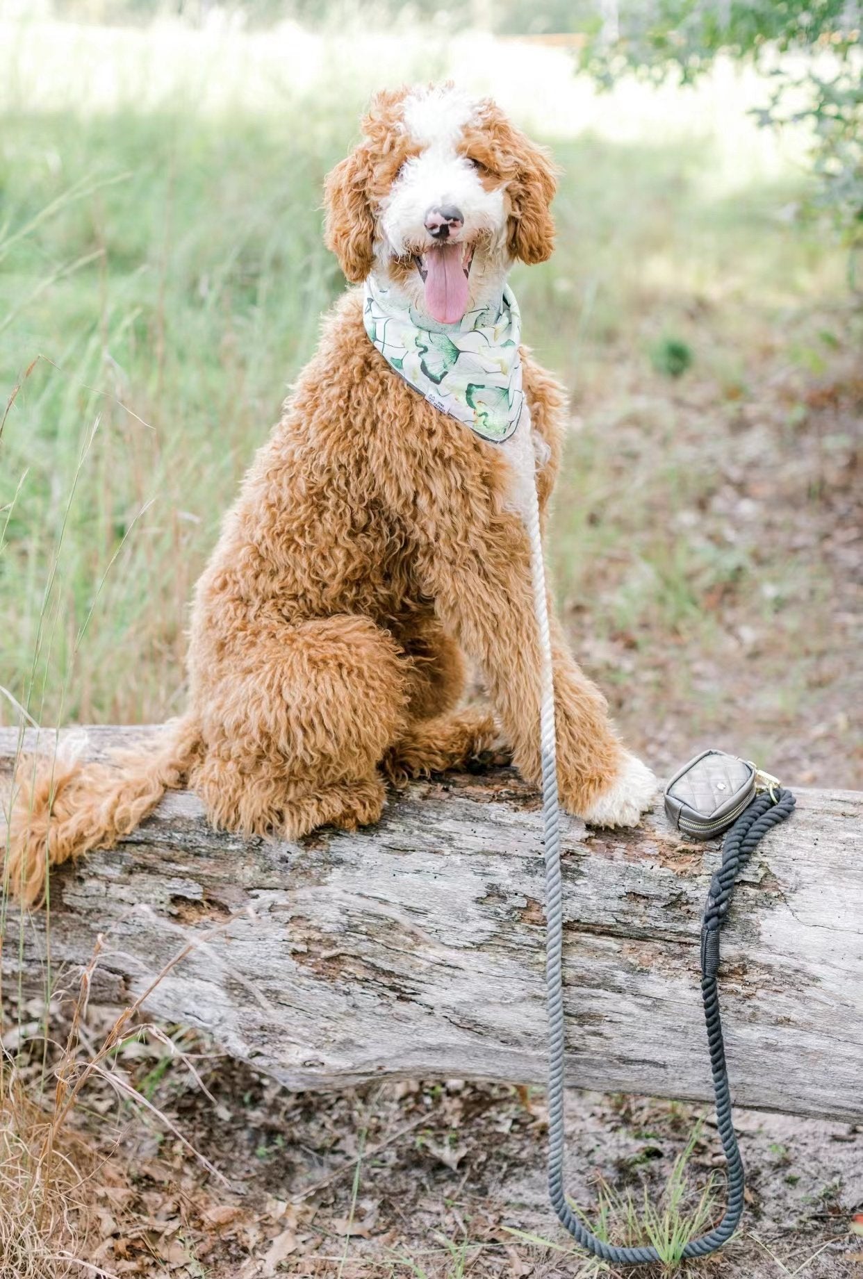 Dog Rope Leash - Grapefruit