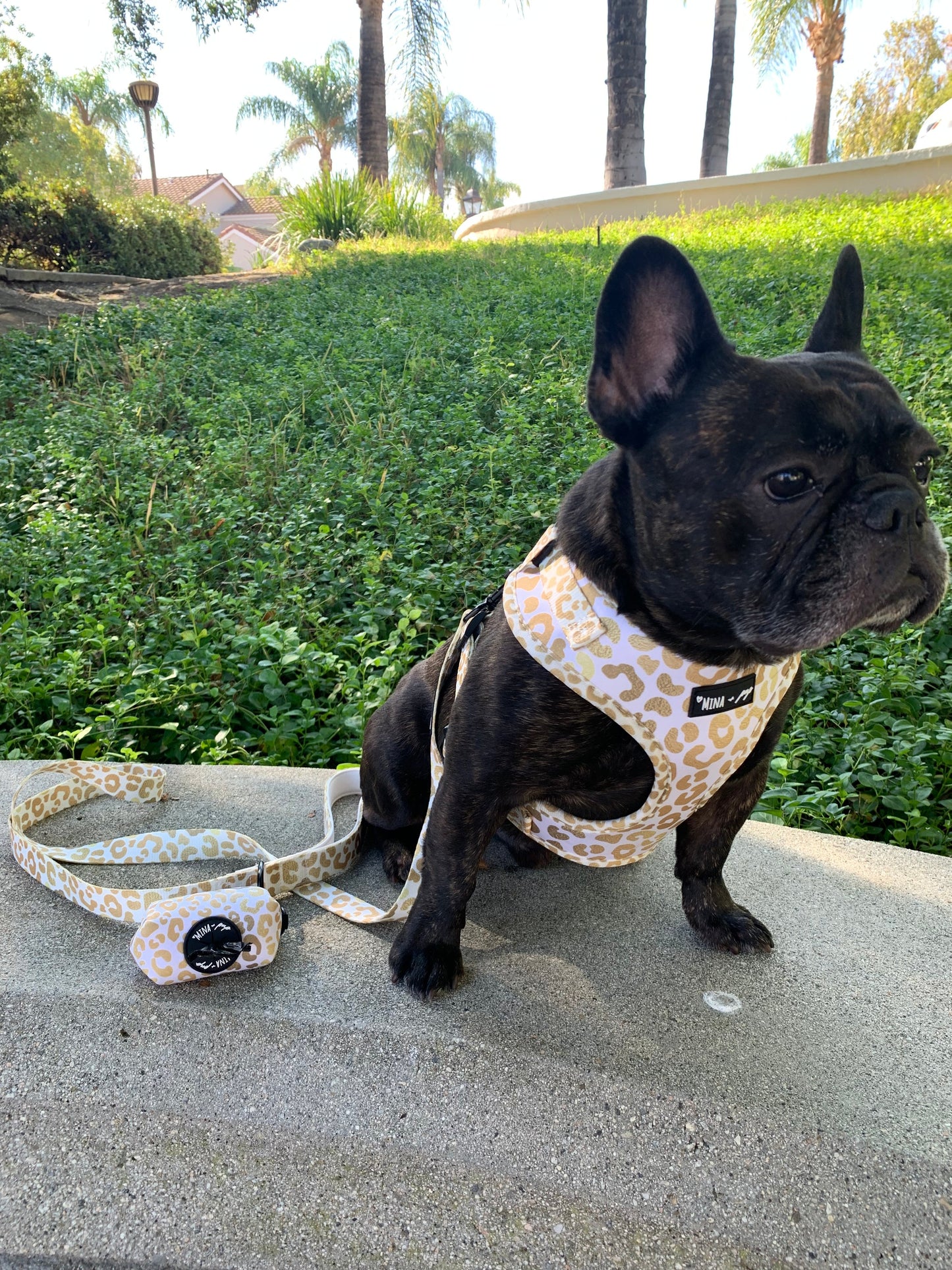 "You're So Golden" Adjustable Harness