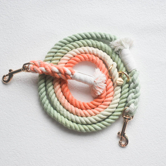 HANDS FREE DOG ROPE LEASH - BUBBLE SODA