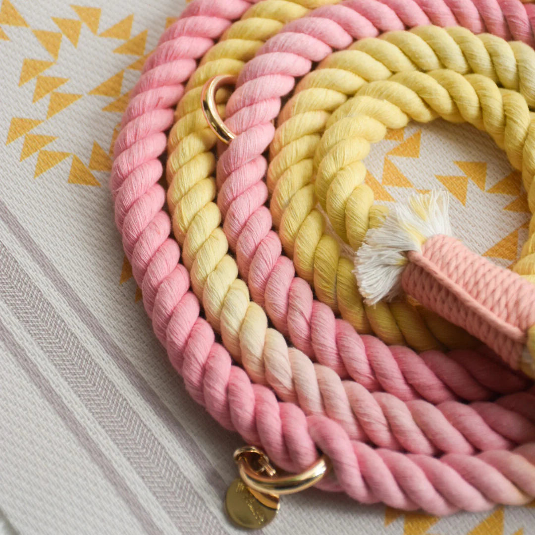 HANDS FREE DOG ROPE LEASH - OH MY MARSHMALLOW