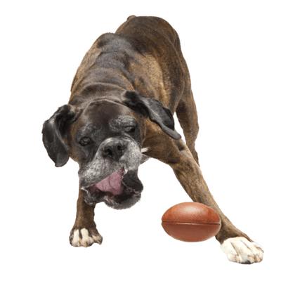 BARK Chompionship Football Super Chewer Dog Toy L - Buzzy Pet Shop