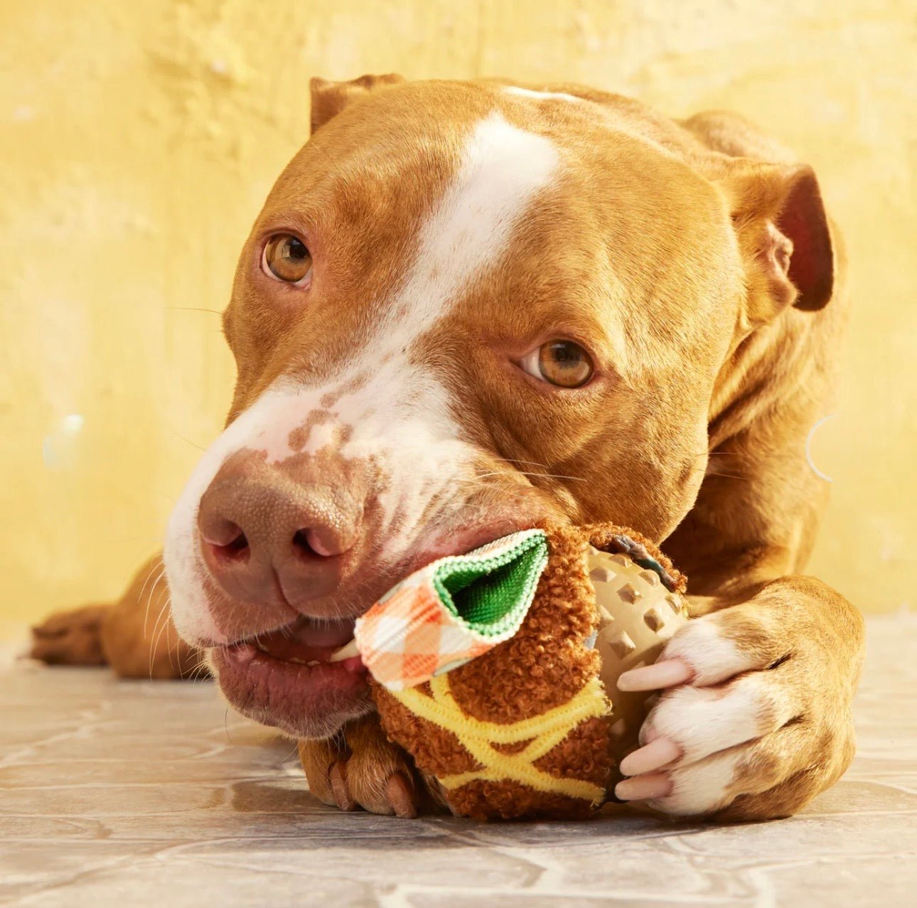 BARK meat - a - ball - Buzzy Pet Shop