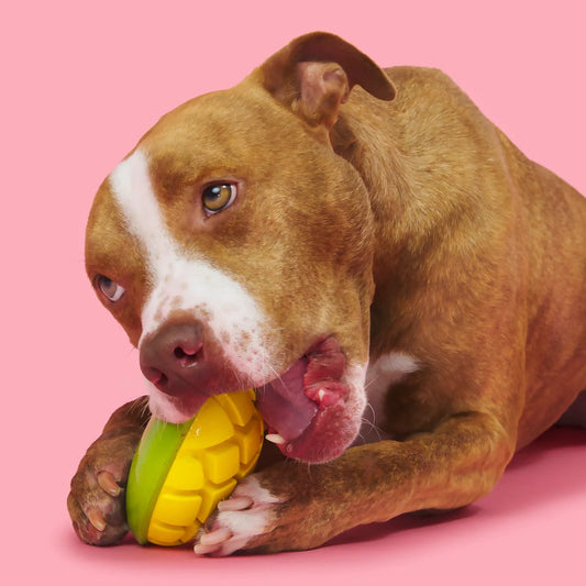 BARK Super Chewer Go Mango Dog Chew Toy L - Buzzy Pet Shop