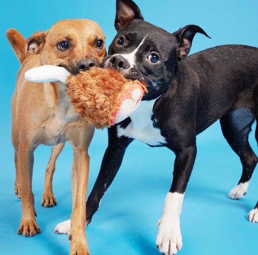 BARK Tavern Turkey Leg Plush Food Dog Toy - Buzzy Pet Shop