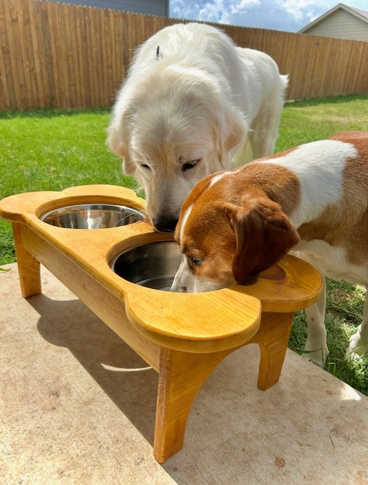 Bone Shaped Medium Double Bowl - Buzzy Pet Shop
