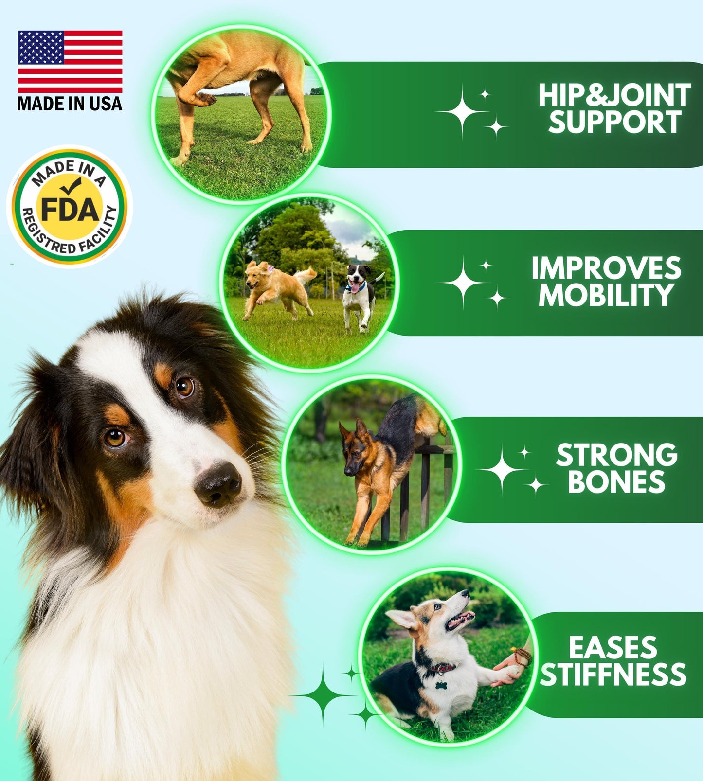 Pawious Hip and Joint Supplement for Dogs   Glucosamine for Dogs   Dog