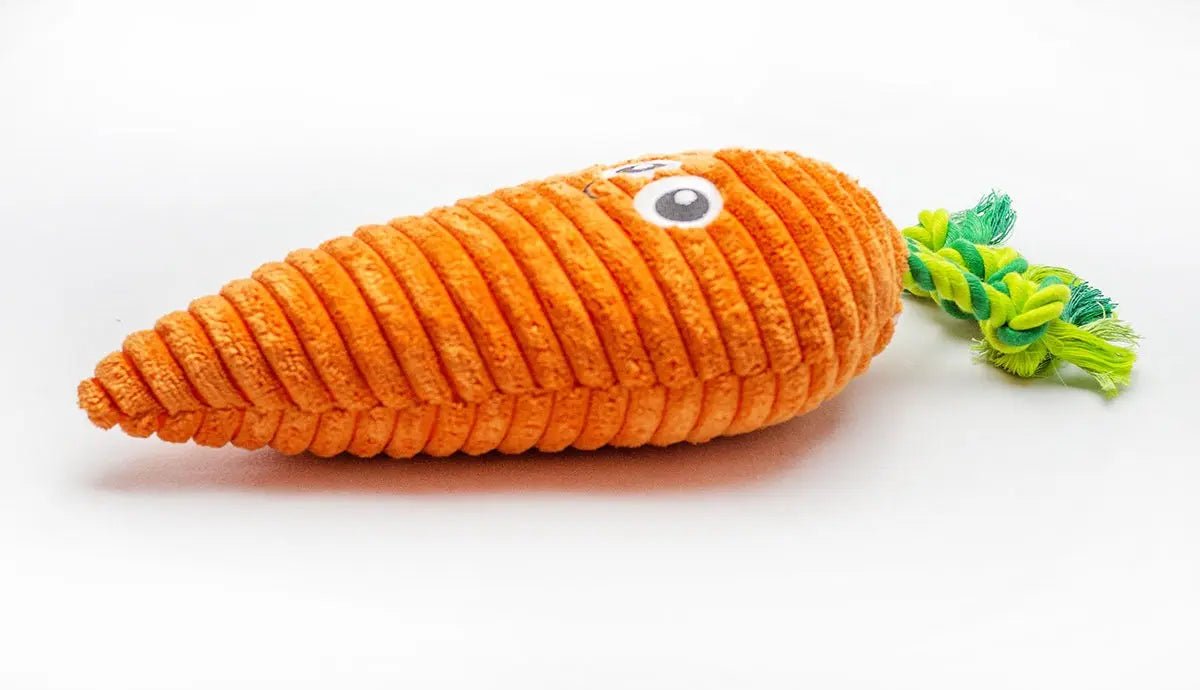 Carrot Plush Dog Toy 10" - Buzzy Pet Shop