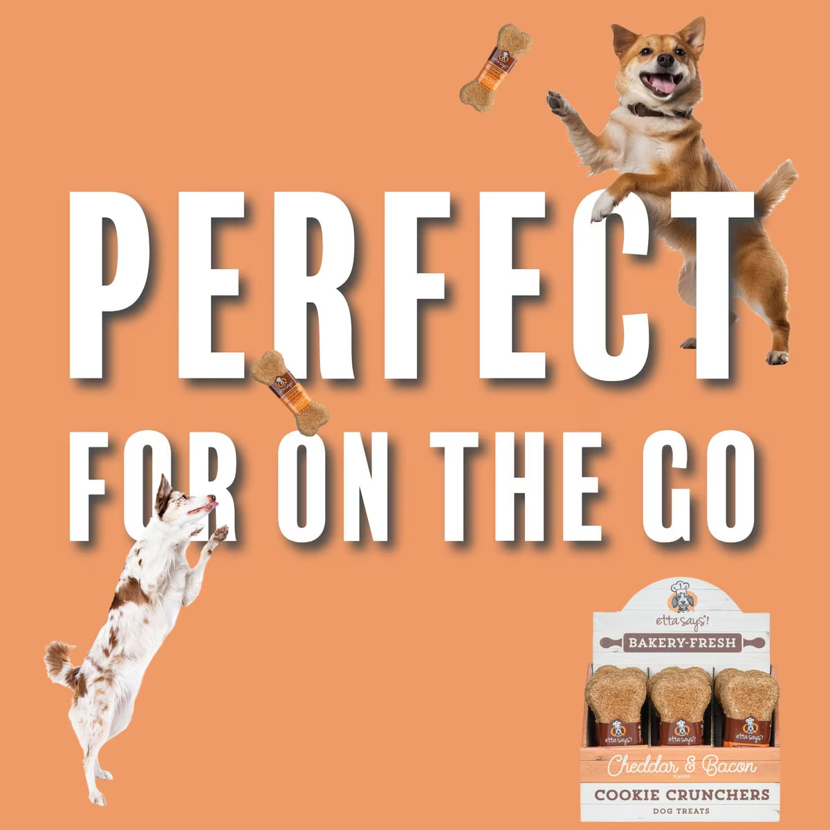 Etta Says! Cookie Crunchers Cheddar & Bacon Biscuit Dog Treat 1oz Individual