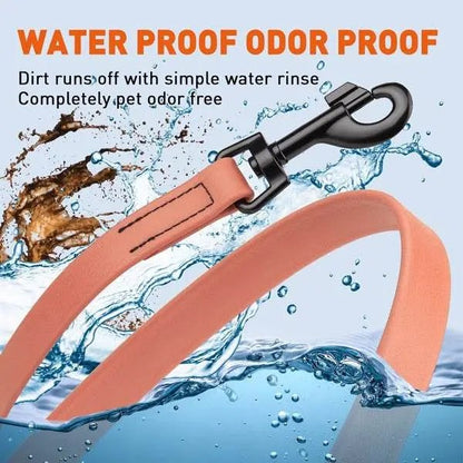 Dogline Biothane Waterproof Leash - Buzzy Pet Shop