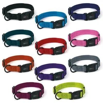 Dogline Nylon Flat Collar