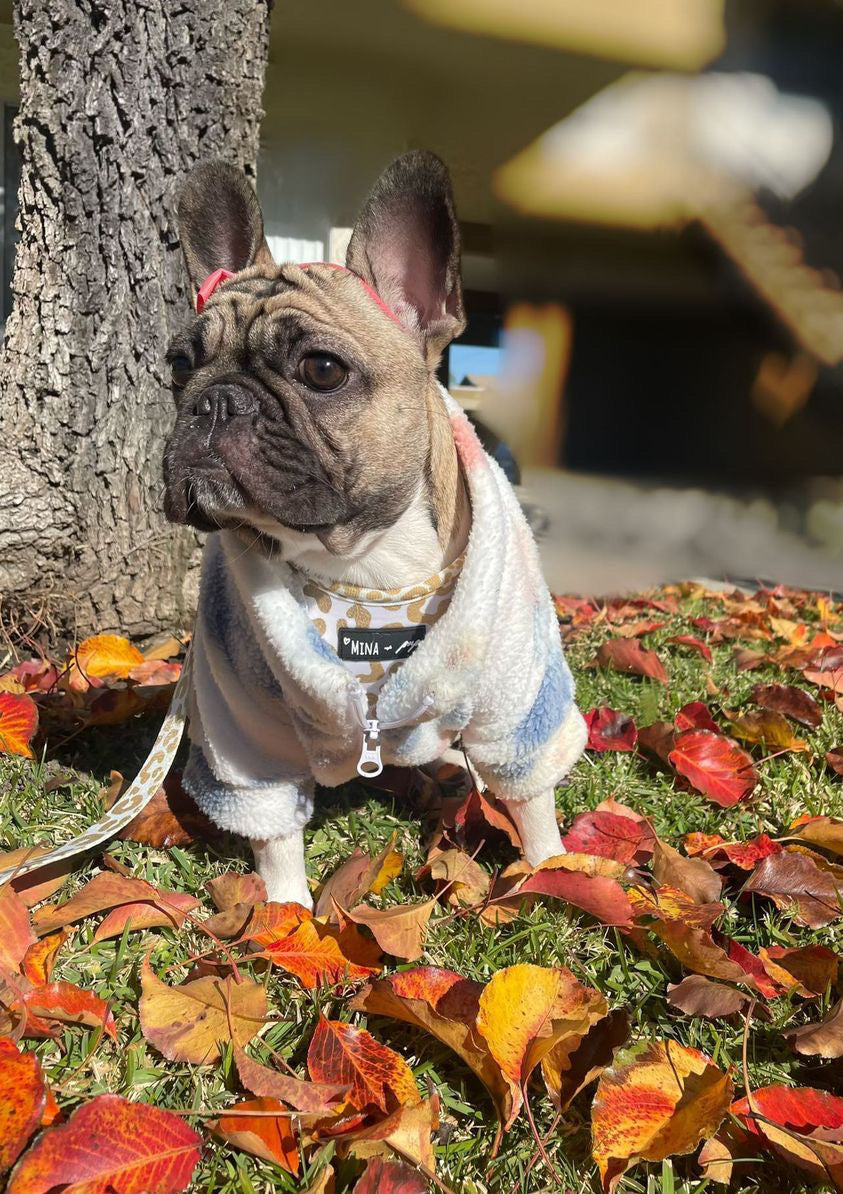 "You're So Golden" Adjustable Harness