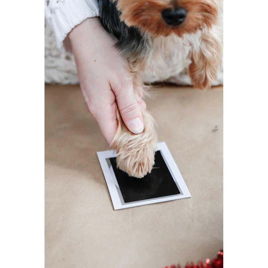 Pawprints photo ornament - Buzzy Pet Shop