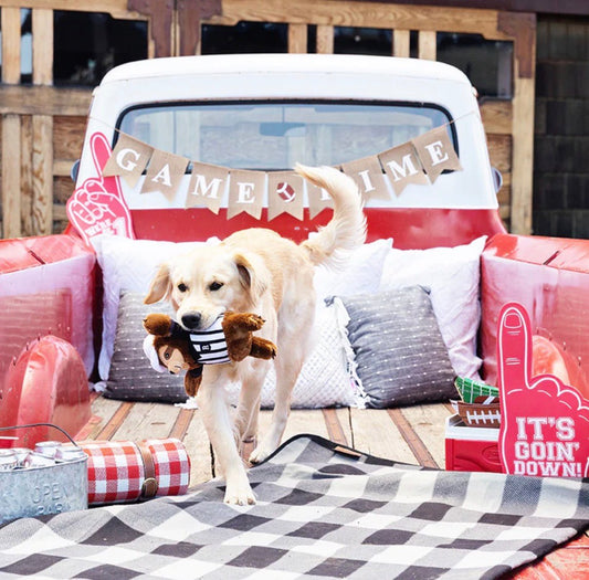 PetShop by Fringe Studio Rufferee Plush Dog Toy - Buzzy Pet Shop