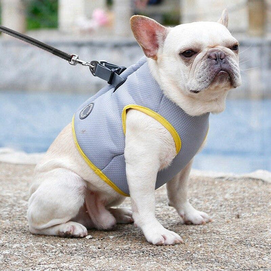 Dog Harness and Leash Set for Chihuahua Pug Small Medium Puppy Cat