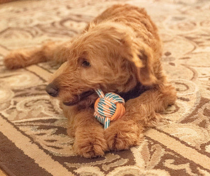 ThoozyPet Figure 8 Knot Ball Rope Dog Toy Orange / Teal 11.5" - Buzzy Pet Shop
