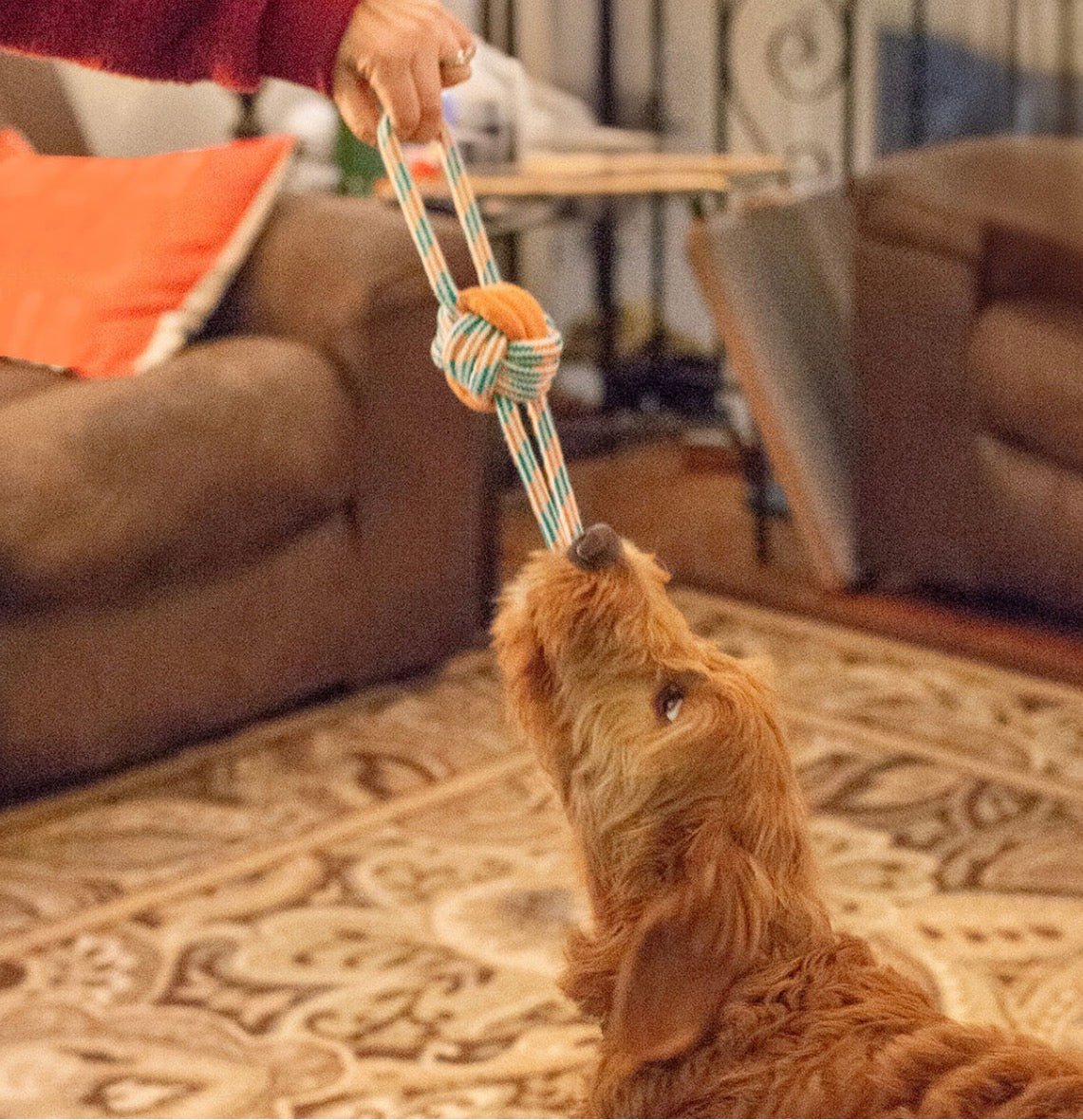 ThoozyPet Figure 8 Knot Ball Rope Dog Toy Orange / Teal 11.5" - Buzzy Pet Shop